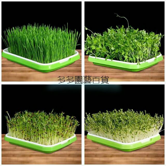 小麥草水耕 那裏買最便宜與商品比價 21年9月 飛比價格