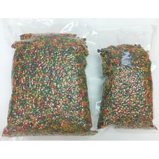 美國 Rep-Cal 陸龜 專用 飼料（500g／1Kg）補充包 RC 陸龜飼料 水果成份 天然植物 婷婷百貨