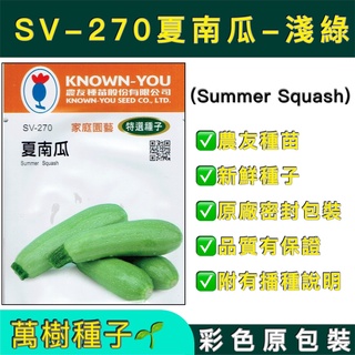 【萬樹種子】 SV-270 夏南瓜-淺綠 節瓜 櫛瓜 特選蔬果種子 農友種苗 彩色密封 原廠包裝