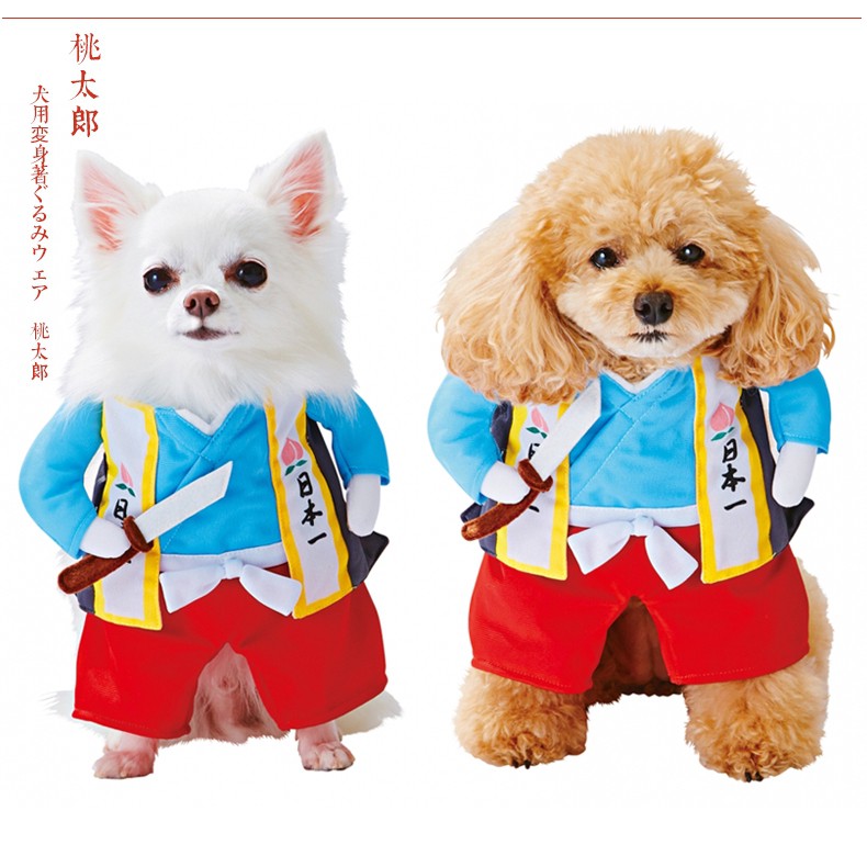 萬能大叔 寵物用品 桃太郎寵物變身裝貓衣服小武士泰迪狗搞笑服英短暹羅貓咪直立裝 蝦皮購物