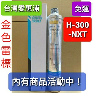 內有優惠活動 開發票 免運 原廠 台灣 愛惠浦 everpure h300 濾芯 h300nxt H300NXT h系列