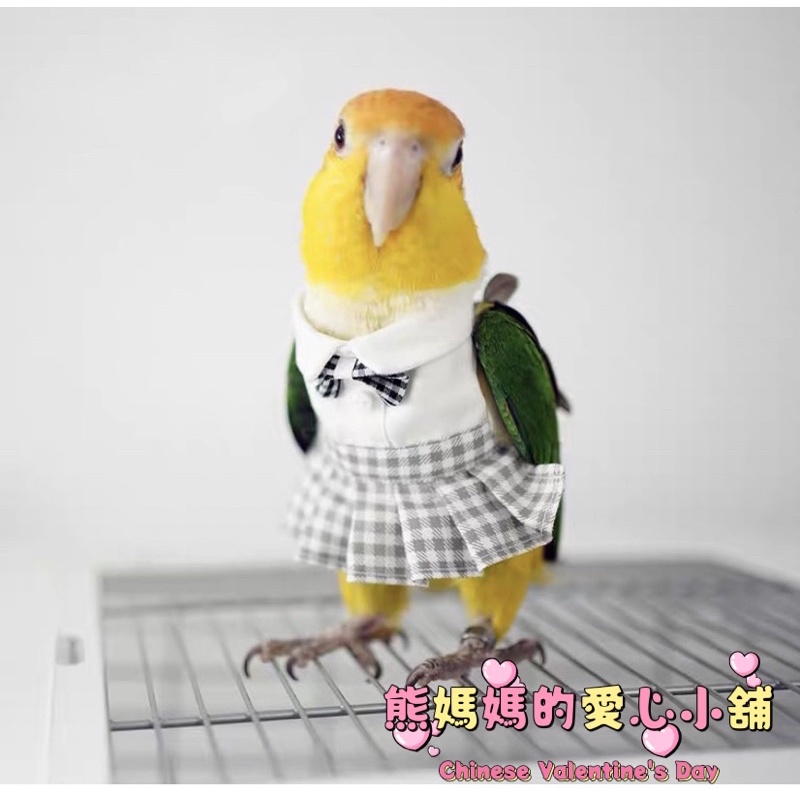 ❤️台灣現貨 ❤️鸚鵡鸚鵡鳥衣服 鸚鵡衣服 鸚鵡外出衣 外出鸚鵡鳥用品