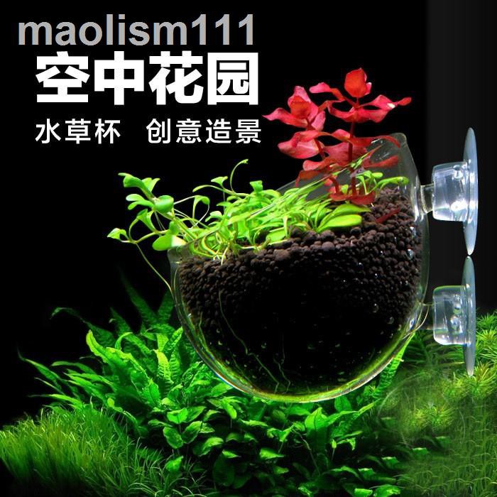 水草造景杯培育杯培育盆魚缸水族箱迷你波爾卡型水草飼育造景盆 蝦皮購物