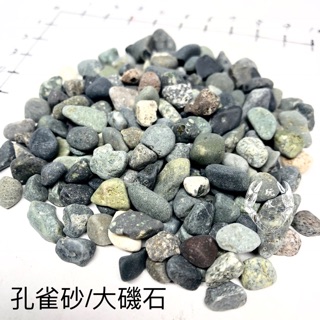鼠造景缸的價格推薦 21年3月 比價撿便宜