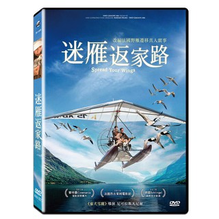 迷雁返家路DVD，Spread Your Wings，台灣正版全新