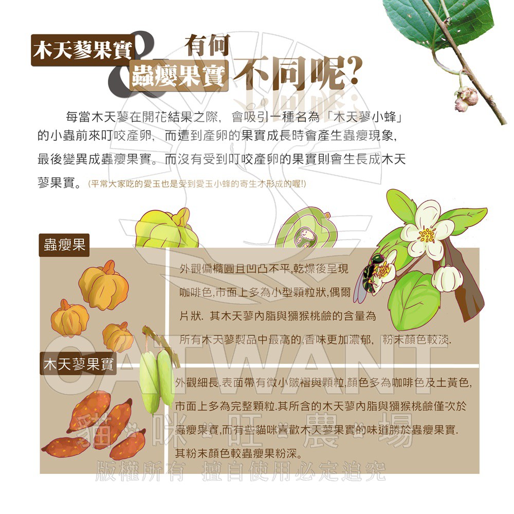 貓咪旺農場 木天蓼蟲癭果實粉 10g 40g 蝦皮購物