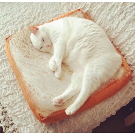 仿真吐司墊 吐司座墊 吐司麵包坐墊 寵物用品 睡窩 睡床 療癒 貓奴必備 貓咪最愛 療癒小物