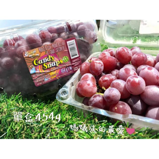 螞蟻系列 美國 加州糖果葡萄 螞蟻人的最愛 蝦皮購物