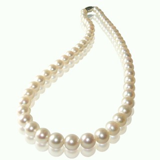 小樂珠寶設計AKOYA最頂級8-8.5mm日本天然珍珠項鍊