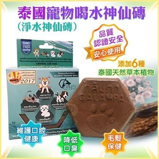 泰國 寵物喝水神仙磚 淨水神仙磚 8.8oz/顆 寵物適用【臺灣代理商正貨商品】 『BABY寵貓館』
