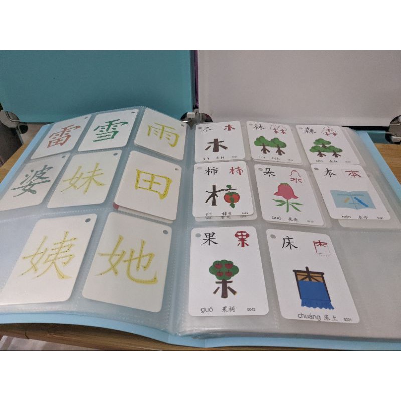 國字 識字卡 象形 圖像化 意義化 生字 小學 特教 小一 筆順 國語 漢字 收納冊 卡片 圖卡 幼兒 兒童