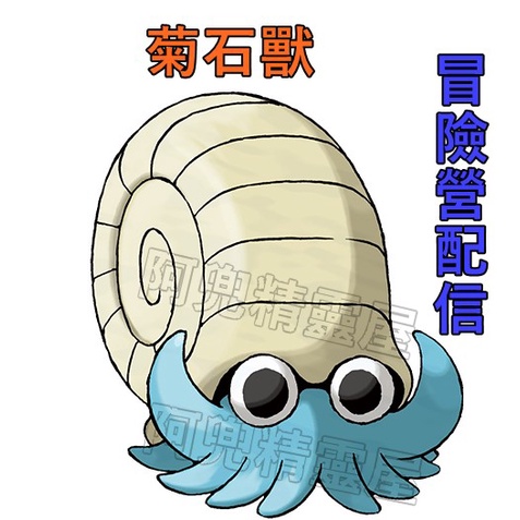 阿兜精靈屋 菊石獸 化石盔 化石翼龍 冒險露營 冒險營 配布 精靈寶可夢xy始源寶石究極日月太陽月亮劍盾