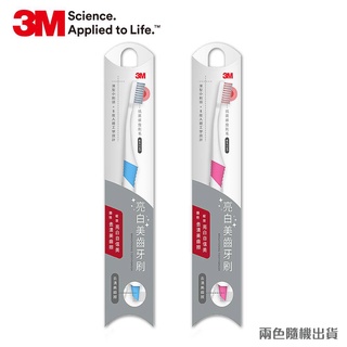 3M 亮白美齒牙刷(顏色隨機出貨)