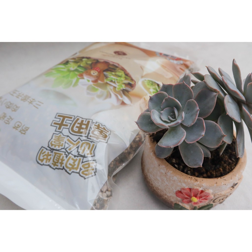 現貨 Green Path 多肉土 仙人掌土 仙人掌 仙人掌專用土 多肉植物 栽培介質 多肉專用土 多肉介質 蝦皮購物