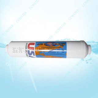 【清淨淨水店】美國製造/原裝進口NSF認證MADE IN USA OMNIPURE小T33後置顆粒活性炭濾心550元