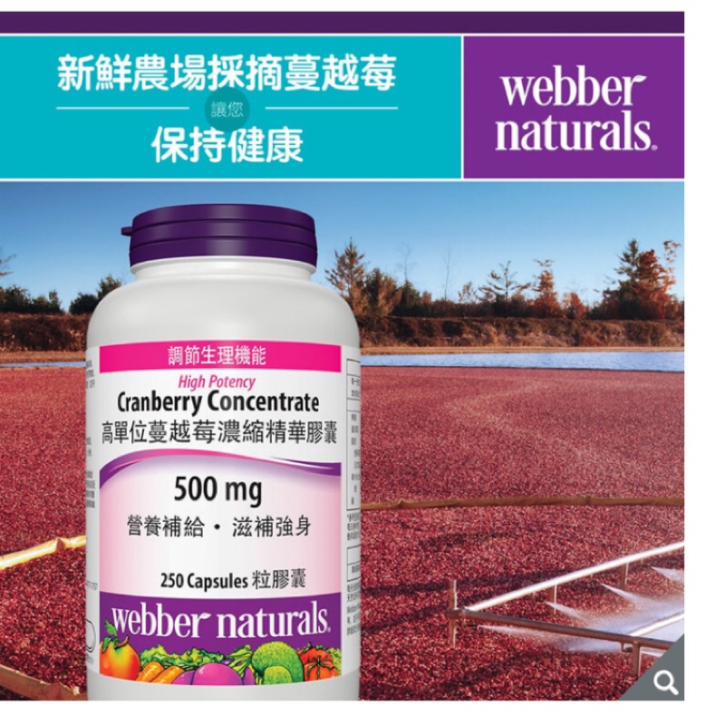 Webber Naturals 高單位蔓越莓濃縮精華膠囊 250 粒 限量特價現貨 比賣場便宜 costco代購