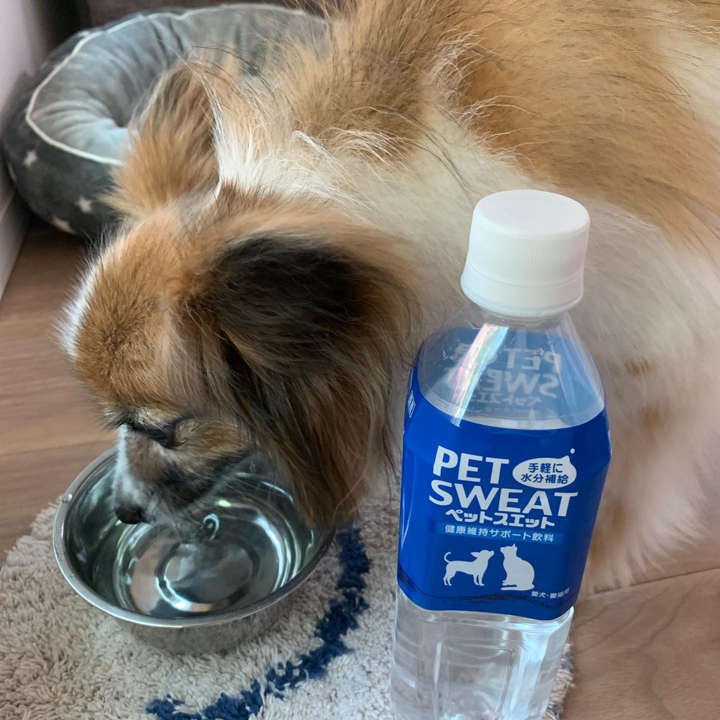 Earthpet汪力水得寵物電解質健康飲用水 500ml 電解水犬貓適用電解質健康補充水 蝦皮購物