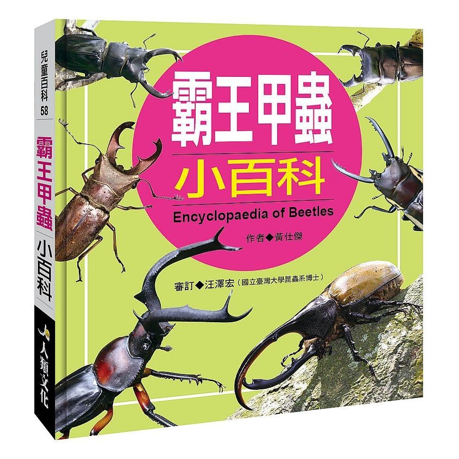 霸王甲蟲小百科