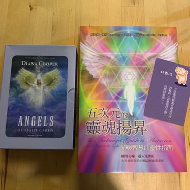 佛化人生 現貨正版五次元的靈魂揚昇 蝦皮購物