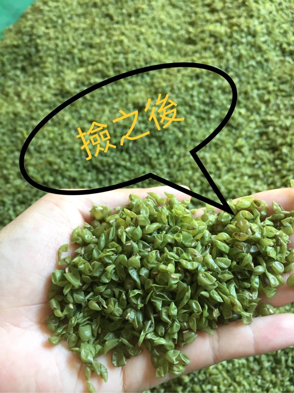 南台灣 手工日曬 自產自銷 預購中 天然綠豆殼枕頭 蝦皮購物