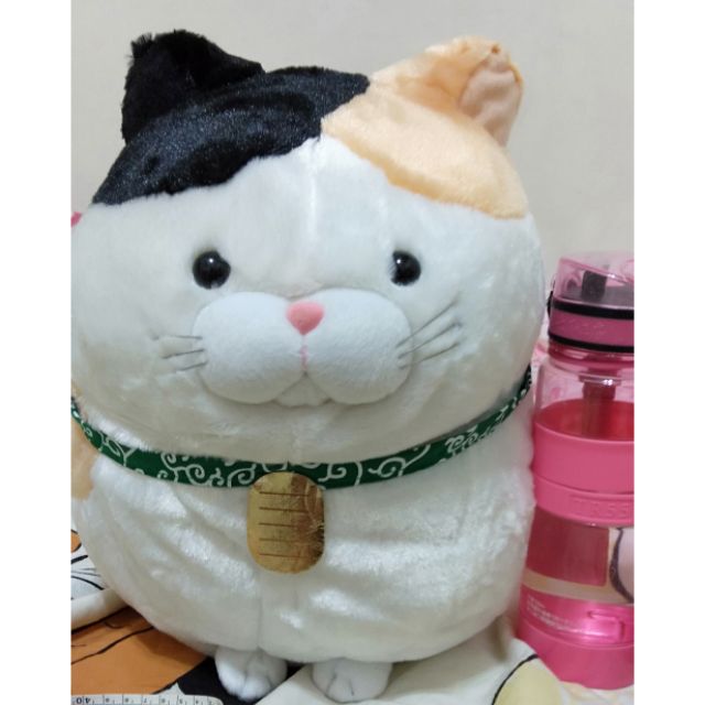 日本帶回 amuse  貓咪玩偶 貓娃娃 30公分