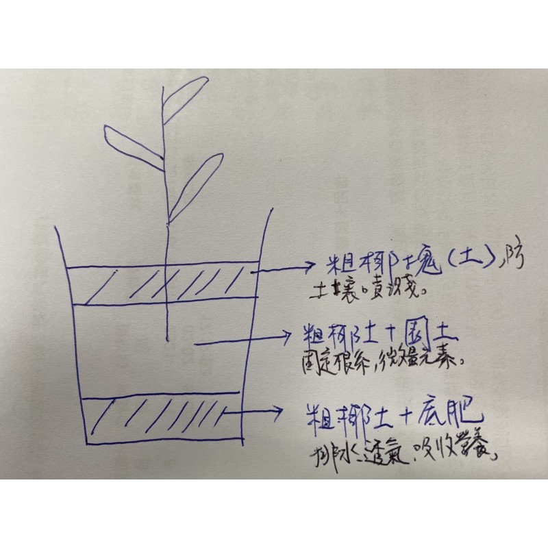 現貨 玫瑰專用土 歐洲rhp介質栽培認證 進口瑞荷椰土 德國k牌泥炭及乾淨殺菌園土介質 乾淨 無毒及天然再生性 蝦皮購物