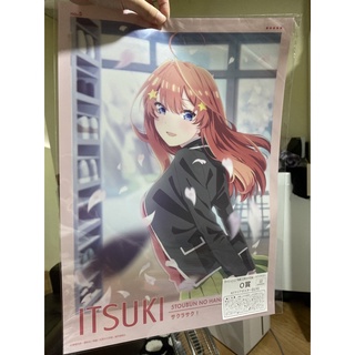 （現貨）日版 劇場版 五等分的新娘 櫻花綻放 一番賞 O賞 A3透明海報 p賞 明信片 透卡 墊板