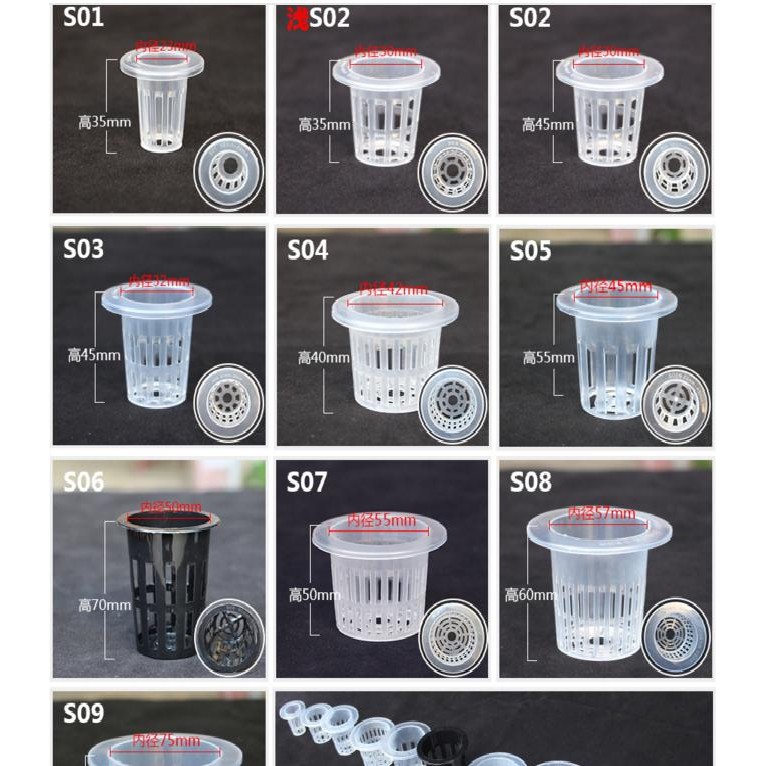 ㄚ誠網室 魚菜共生定植籃s06 50號 水耕水培無土栽培定植籃 44mm直徑 30mm高 蝦皮購物