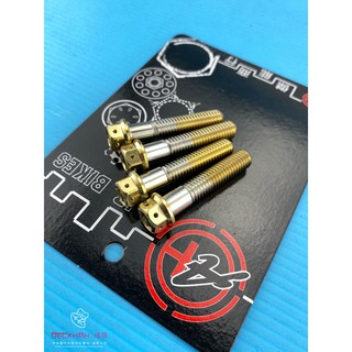JZ BIKES 傑能 白鐵鍍金螺絲 規格 8X40 單支 鍍金 螺絲 鍍金螺絲