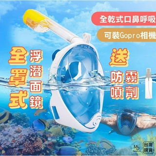 【急速出貨】買面鏡送防霧噴劑 全罩式面鏡 浮潛面境 全乾式面鏡 蛙鏡呼吸管 全臉面鏡 潛水面罩 泳鏡 浮潛裝備