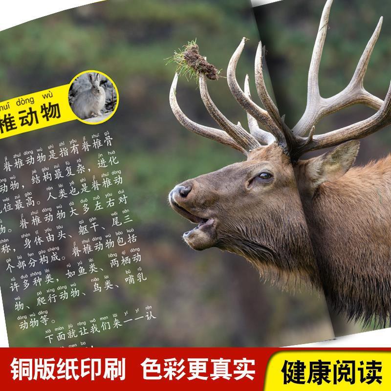 熱賣正版動物大百科注音版小眼睛看世界少兒科普小百科繪本 蝦皮購物