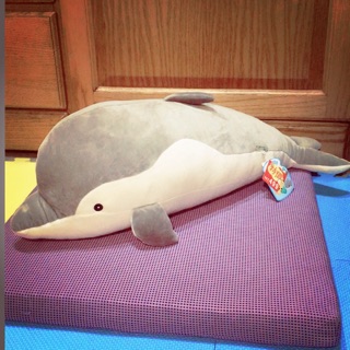 海豚娃娃 海豚抱枕。水中生物。海豚公仔 送禮交換禮物
