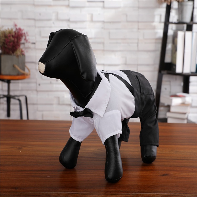 新款時尚寵物西裝褲狗狗寵物禮服用品泰迪博美中小型犬衣服