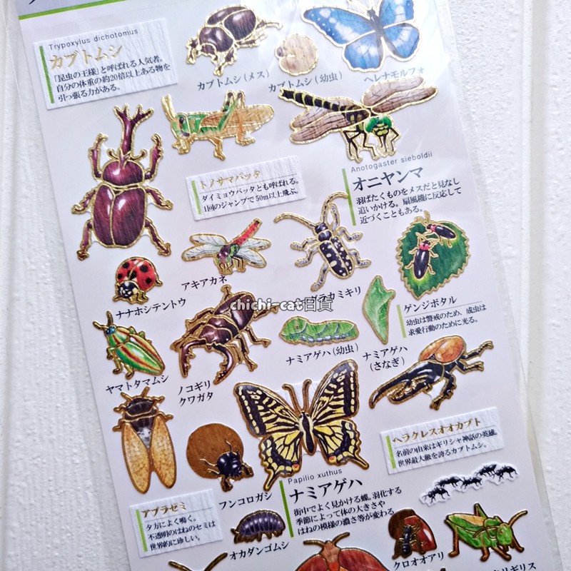 日本製kamio Japan 大人的圖鑑貼紙 昆蟲編現貨 蝦皮購物