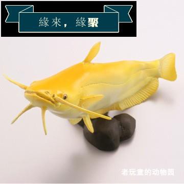 海洋模型 海洋堂capsule Q 日本的動物第5彈單賣 琵琶湖鯰 黃化型 蝦皮購物