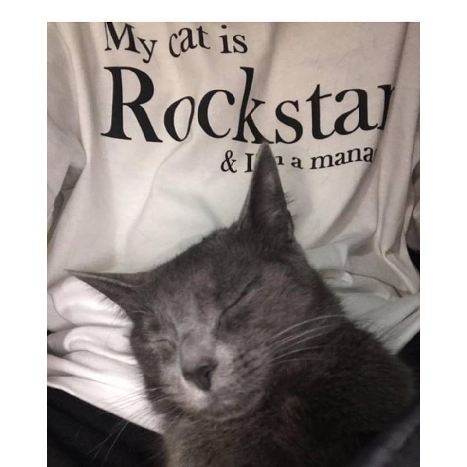 現貨🐱🐶JOEGUSH 貓奴T 短踢 My cat is Rockstar &amp; I'm a manager 短袖 泰亨