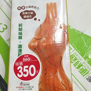 全新一個3D 立體積木人體模型女