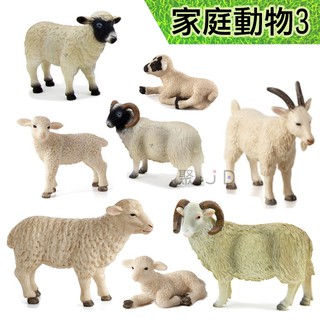 玩得購【MOJO FUN 動物模型】動物星球 家庭動物3 - 黑面/羊/綿羊/公綿羊/母綿羊/比利山羊/小綿羊