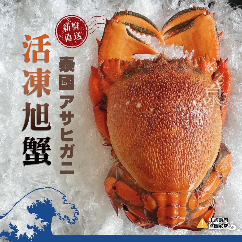 【蝦拚美食市集】泰國活凍旭蟹 400~500g/隻