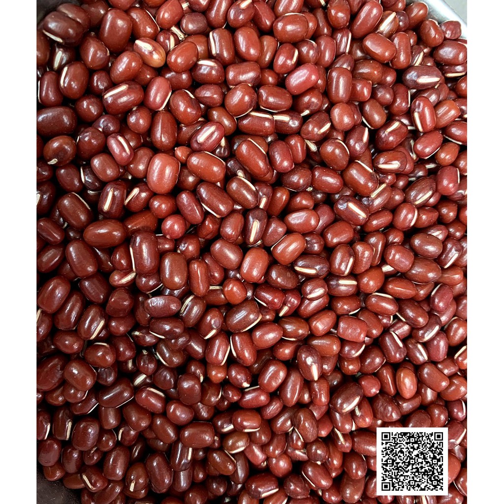 《萬丹特產》紅豆。1斤600g   2023 冬天新產季 商品