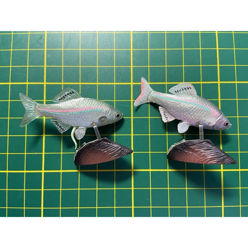二手海洋堂chocoq 日本的動物第5彈琵琶湖篇牛屎鯽高體鰟鮍台灣石鮒條紋小䰾史尼氏小䰾齊氏石鮒