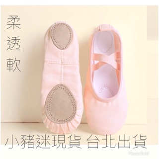 ［小豬迷現貨］成人大童芭蕾舞鞋 進階加厚棉質舞鞋（中大尺寸33-44碼）芭蕾舞鞋 專業免繫帶舞鞋貓爪鞋 2點鞋 男女軟鞋