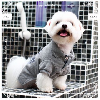 【汪星人>良品出清】<<台灣 PAZO>> 皇家馬球 POLO衫 100%純棉 寵物衣 寵物服飾