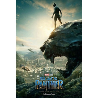 黑豹 (Black Panther) - 復仇者聯盟 - 美國原版雙面電影海報 (2018年)