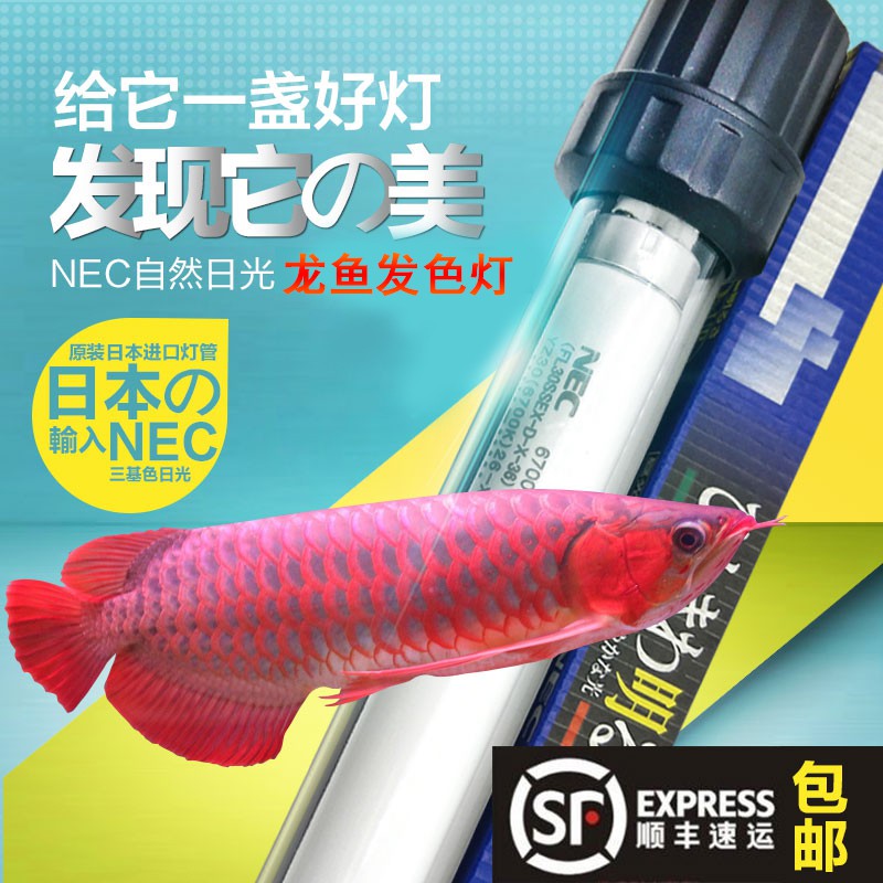 免運日本nec潛水龍魚燈防水6700k30三基色魚缸燈管水族金龍魚增色專用夾燈 蝦皮購物