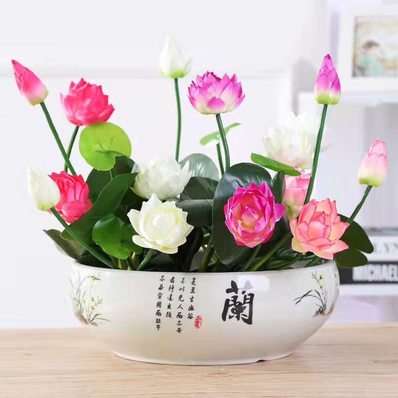 水耕盆栽植物 Ptt Dcard討論與高評價網拍商品 21年11月 飛比價格