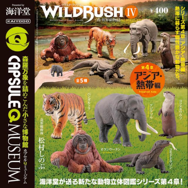 日版 日本 海洋堂 真・世界動物誌 真世界動物誌 第4彈 熱帶編 紅毛猩猩 亞洲象 轉蛋 扭蛋 交換 出售