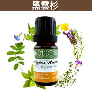 加拿大【黑雲杉純精油10-50ml】優質單方純精油系列《歐丹尼香草日誌》Spruce Black