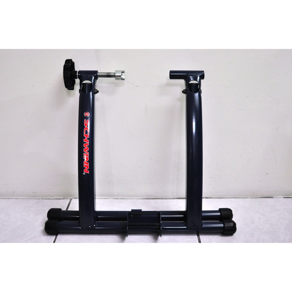schwinn mag trainer