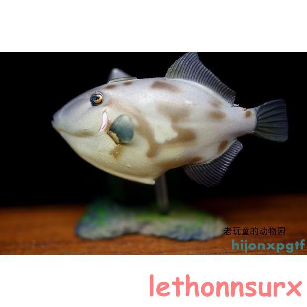 絕版日本yujin出品原色海水魚圖鑒2代單賣 綠鰭馬面鲀 Hijonxpgtf 蝦皮購物